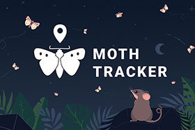 Moth Tracker