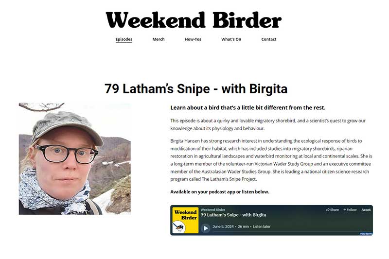 Podcast - Weekend Birder (26 minutes)